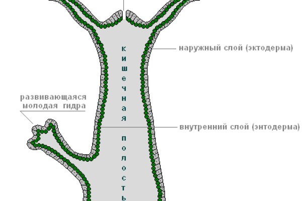 Кракен шоп ссылки