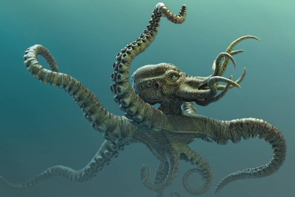 Kraken mirror