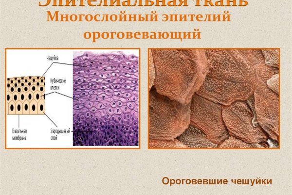 Кракен актуальные ссылки на сегодня